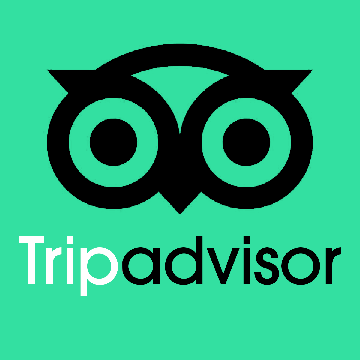 tripadvisor