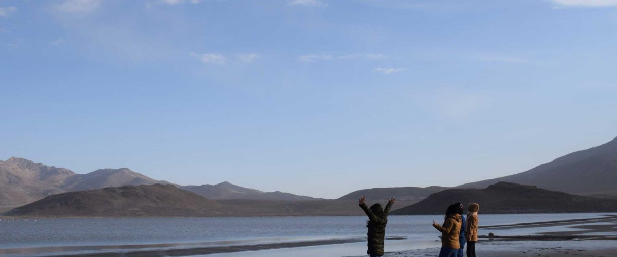 DAY TRIP – BIKING TOUR FROM SALINAS LAGOON & VICUÑA NATIONAL RESERVE