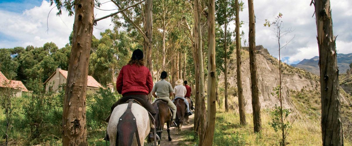 HALF DAY – AREQUIPA HORSEBACK RIDING TOUR