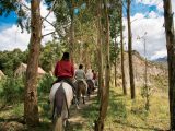 HALF DAY – AREQUIPA HORSEBACK RIDING TOUR