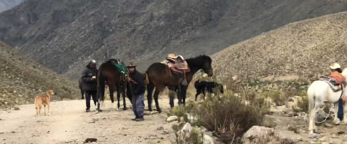 DAY TRIP – BIRD WATCHING MEJIA SANCTUARY