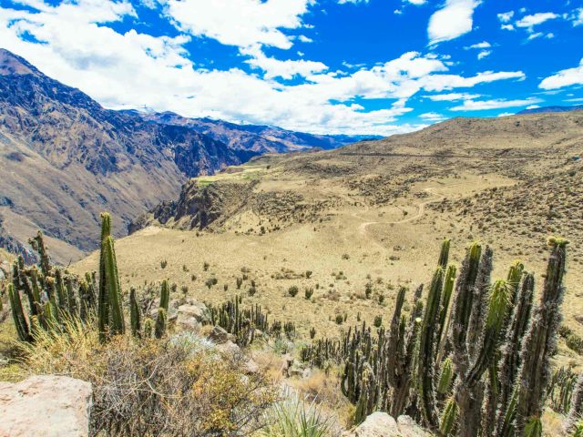 3 DAYS COLCA CANYON THE ULTIMATE – TREKKING MACHO