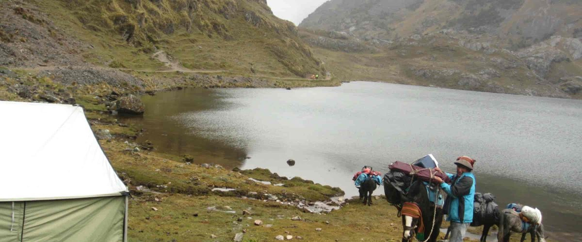 4 DAYS LARES TREK (MACHU PICCHU & OLLANTAYTAMBO)