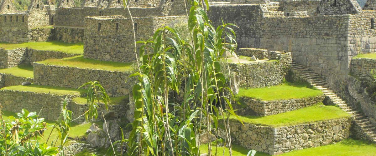 4 DAYS CUSCO EXCLUSIVE