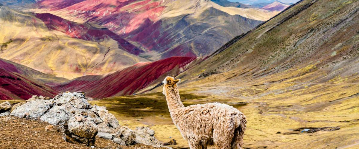 2 DAYS MACHU PICCHU + RAINBOW MOUNTAIN