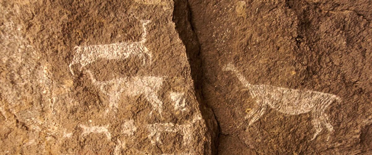 2 Days COLCA CANYON TOUR FROM PUNO