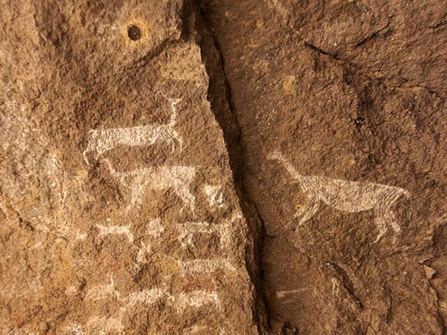 2 Days COLCA CANYON TOUR FROM PUNO