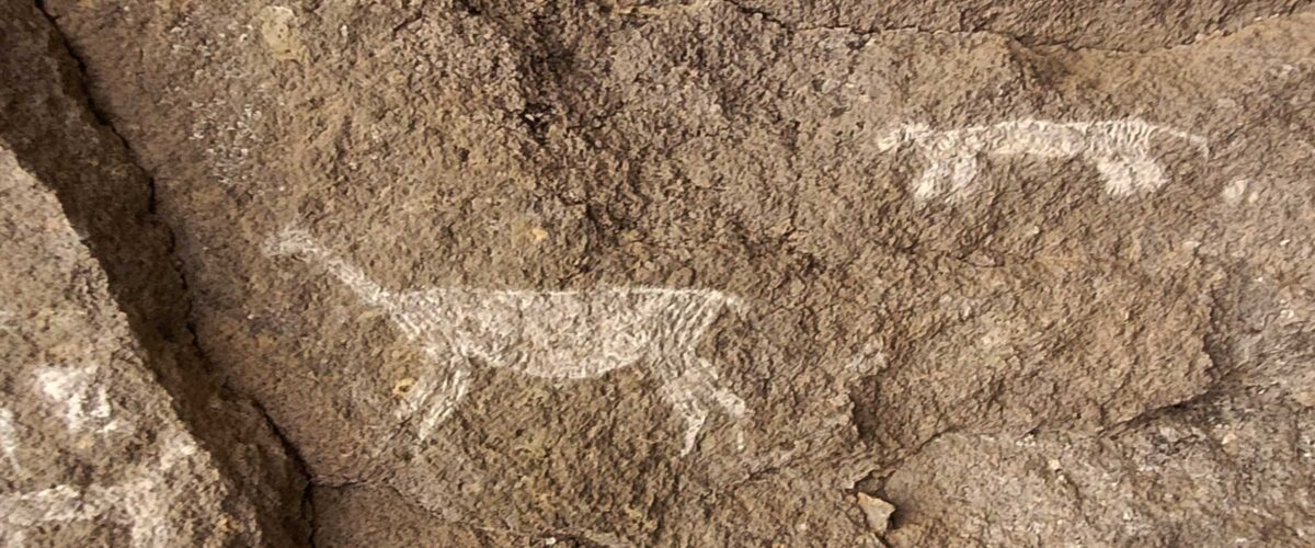 2 Days COLCA CANYON TOUR FROM PUNO